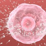 Declining Sperm Count Concerns Men’s